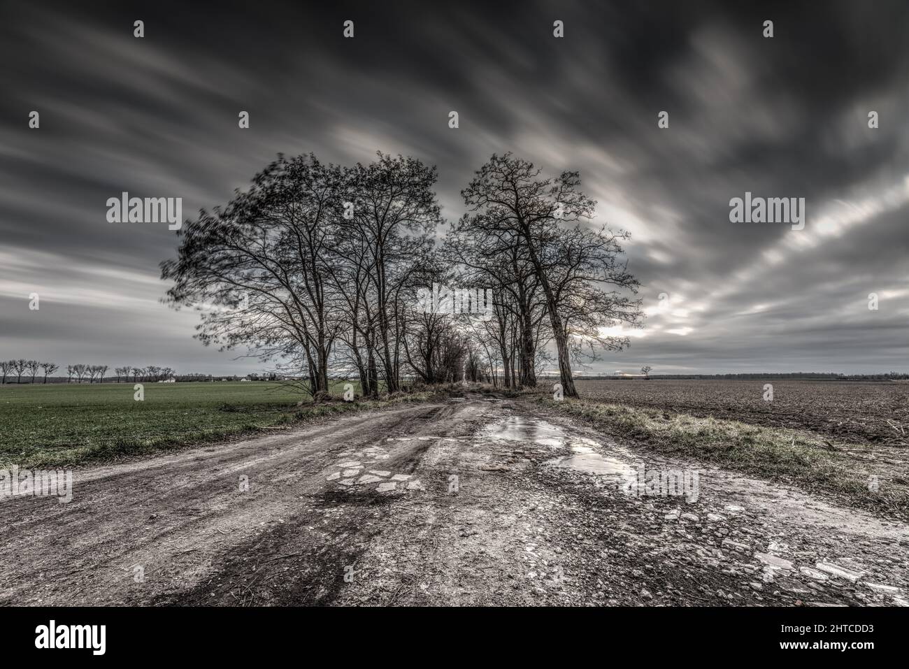 Country road in field with stormy sky above Stock Photo - Alamy