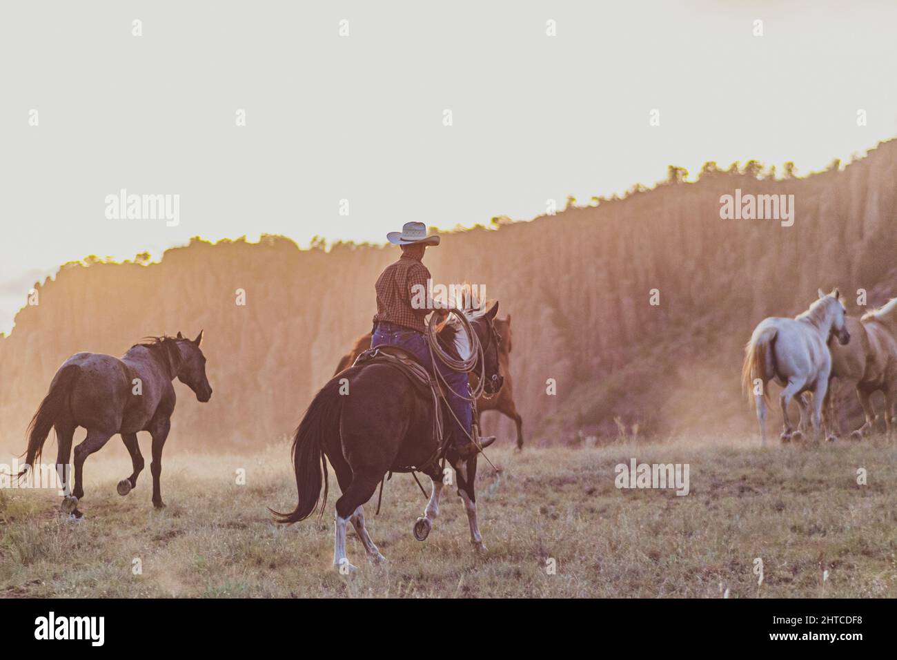 Group of farmers riding horses surrounded by dust in rural Texas Stock
