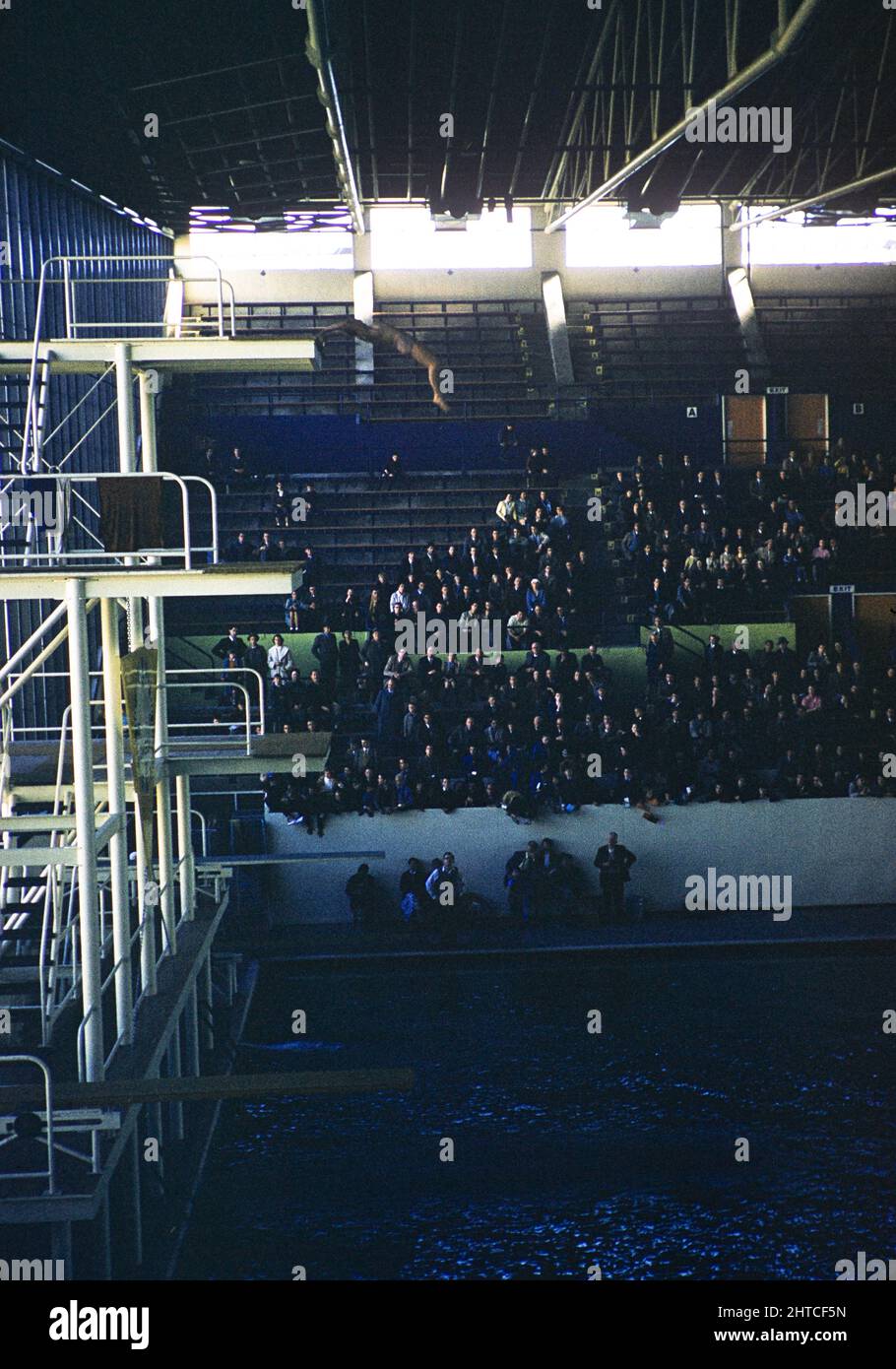 Crowds in the swimming pool for high diving event summer Olympic Games