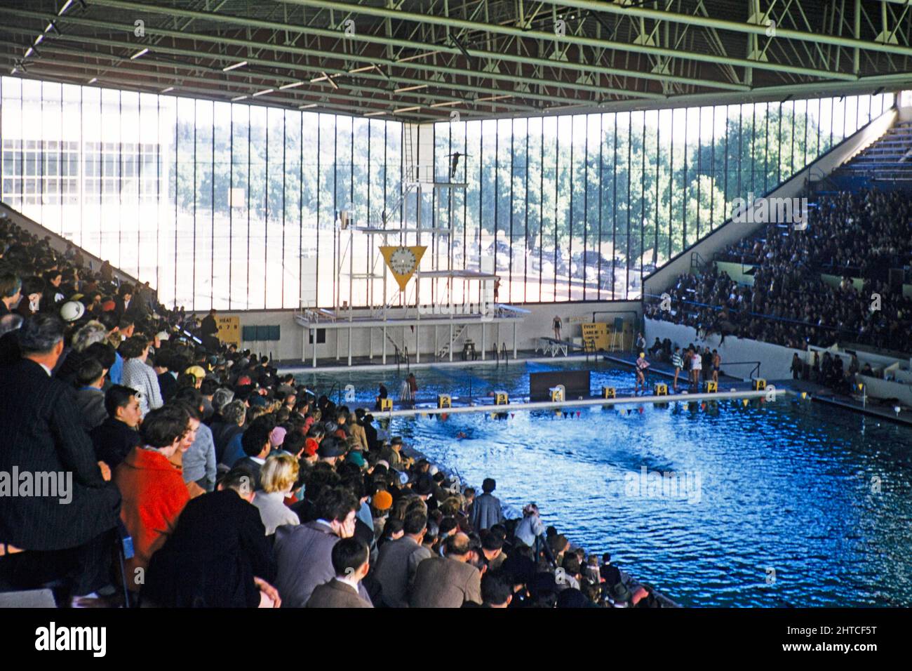 Crowds in the swimming pool for high diving event summer Olympic Games