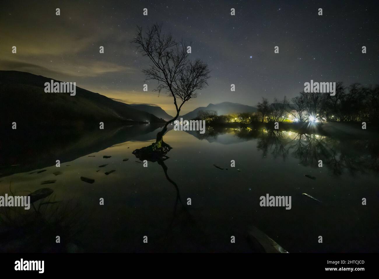 Lonely tree at night, Llyn Padarn, Llanberis, Snowdonia, North Wales Stock Photo