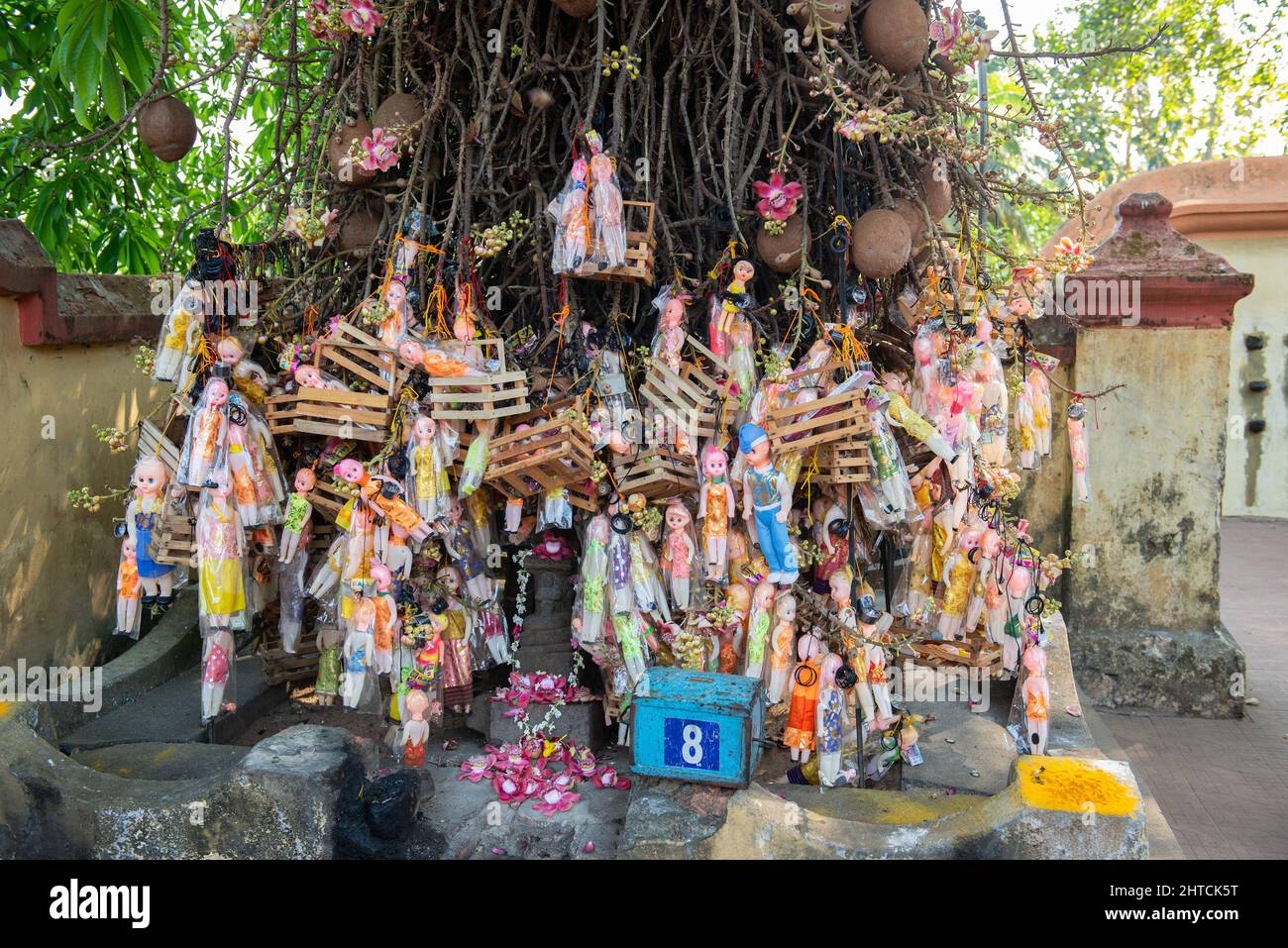 Varkala, India - January 2022: Wishing tree in Janardanaswamy Temple. Many dolls and boxes are hanging in a tree inside the temple, as offering from w Stock Photo