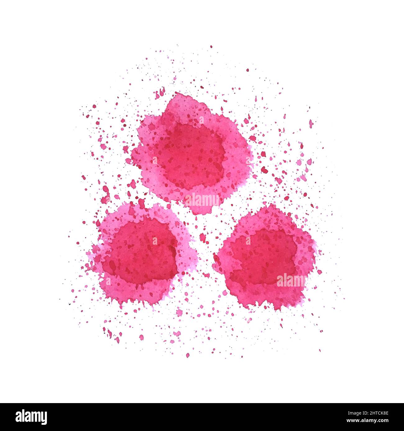 Poppy like flowers Stock Vector Images Alamy