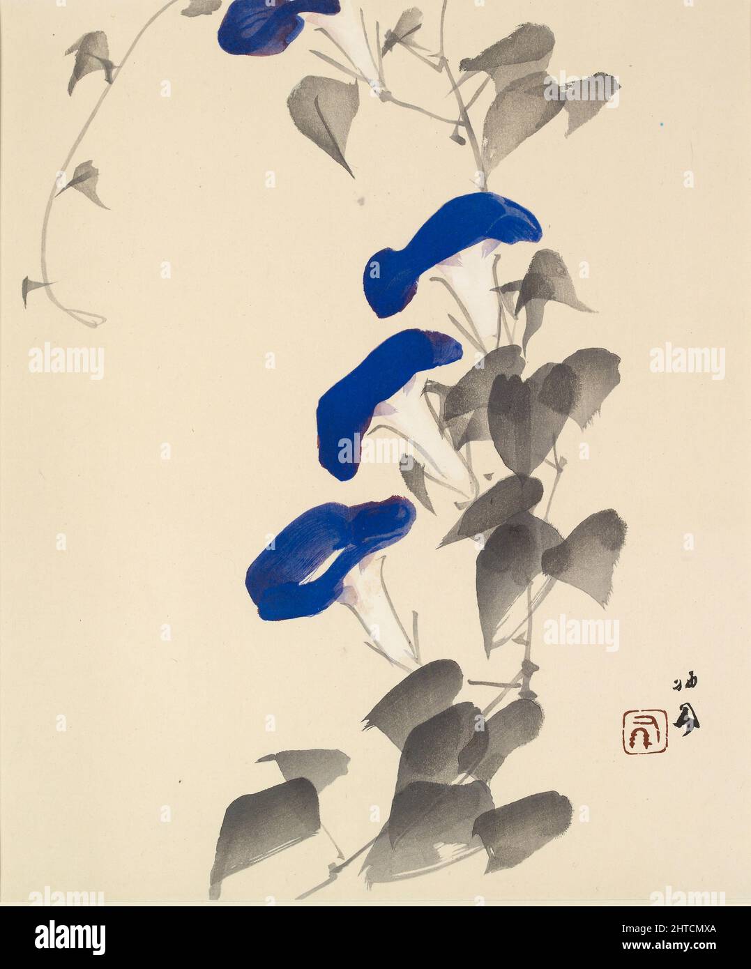 Morning glory, 1901 - 1942. Dimensions: sheet 40.4 x 33.7 cm sight size (height x width). Stock Photo