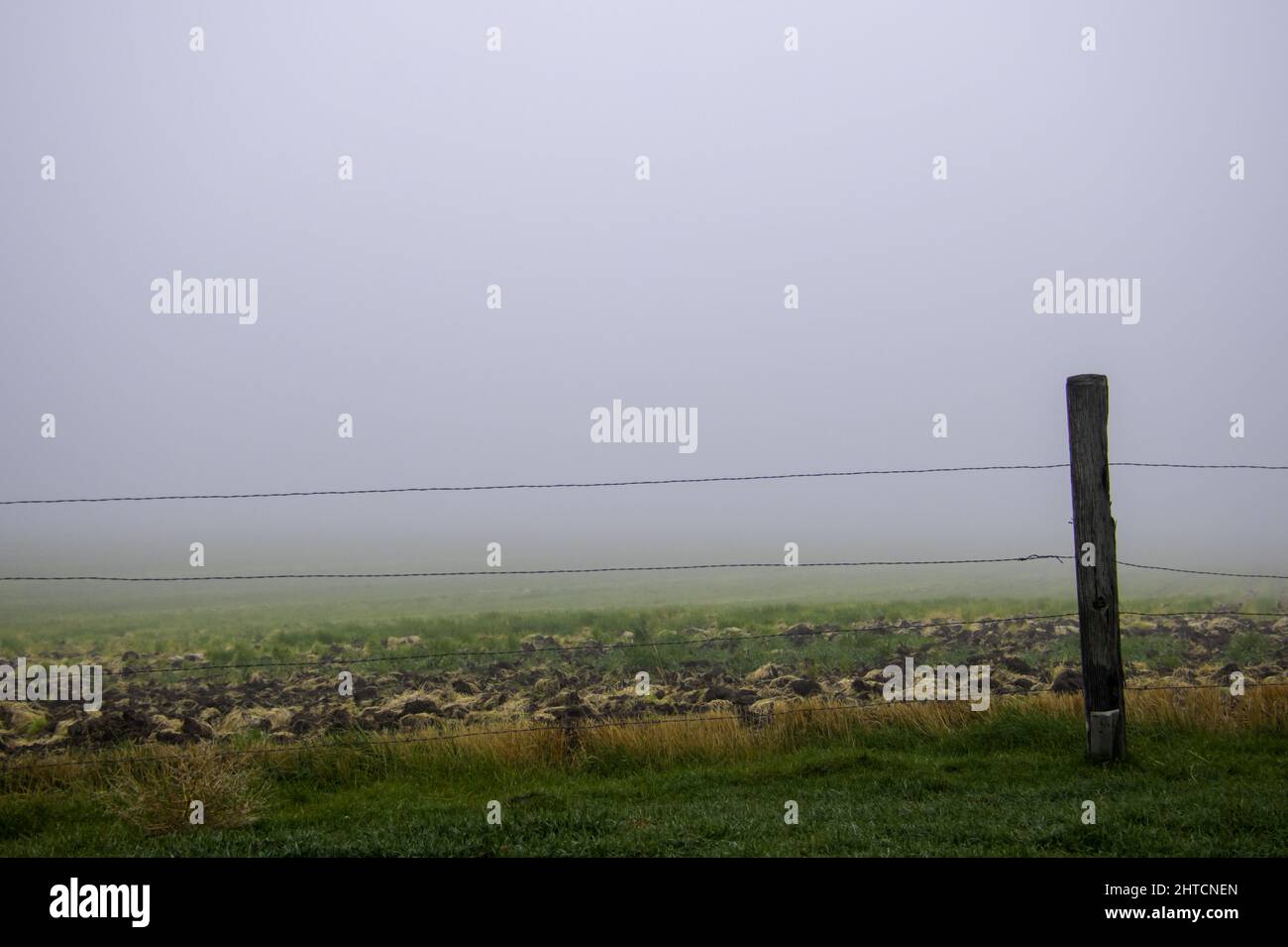 Beautiful fog field hi-res stock photography and images - Alamy