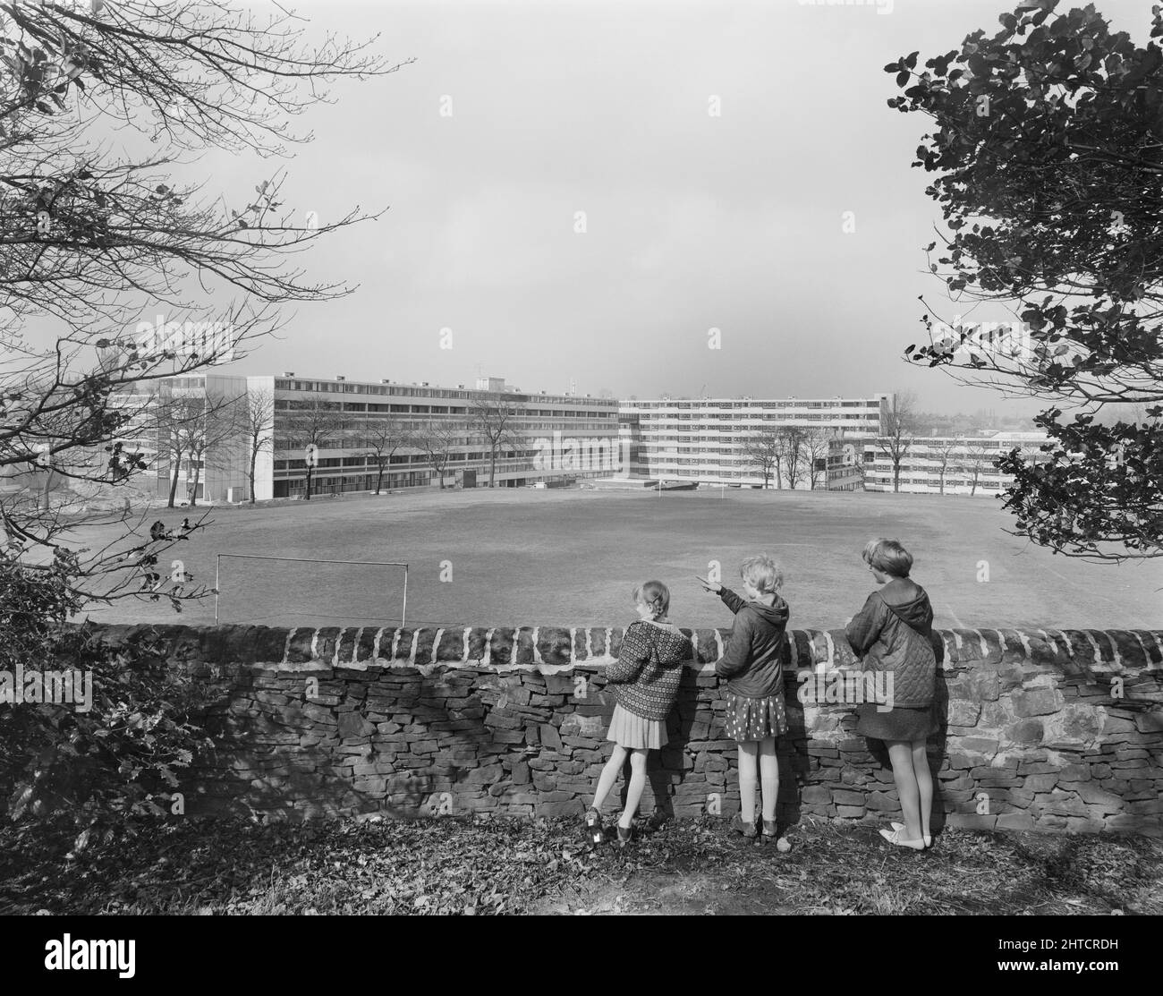 Victoria Park Estate, Macclesfield, Cheshire East, Cheshire, 18/04/1968. Three girls standing beside a stone wall, looking towards flats in the distance at the Victoria Park development, built using the 12M Jespersen system. In 1963, John Laing and Son Ltd bought the rights to the Danish industrialised building system for flats known as Jespersen (sometimes referred to as Jesperson). The company built factories in Scotland, Hampshire and Lancashire producing Jespersen prefabricated parts and precast concrete panels, allowing the building of housing to be rationalised, saving time and money. Th Stock Photo