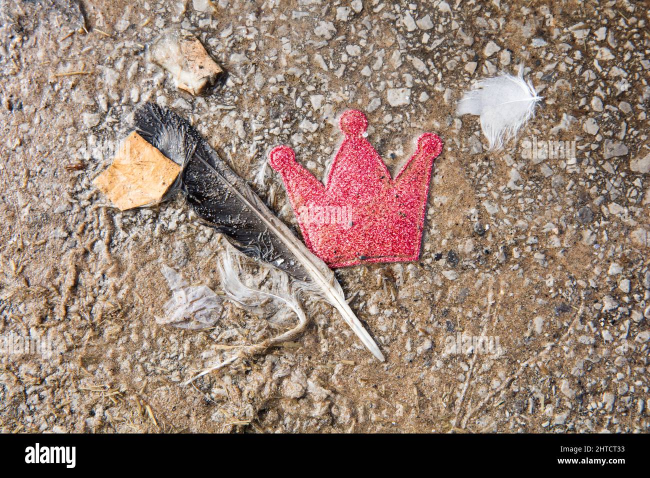 Promenade, Blackpool, Lancashire, 2017. Detail of rubbish in a puddle on the Promenade, including birds' feathers, cigarette ends and a small cloth crown. Stock Photo