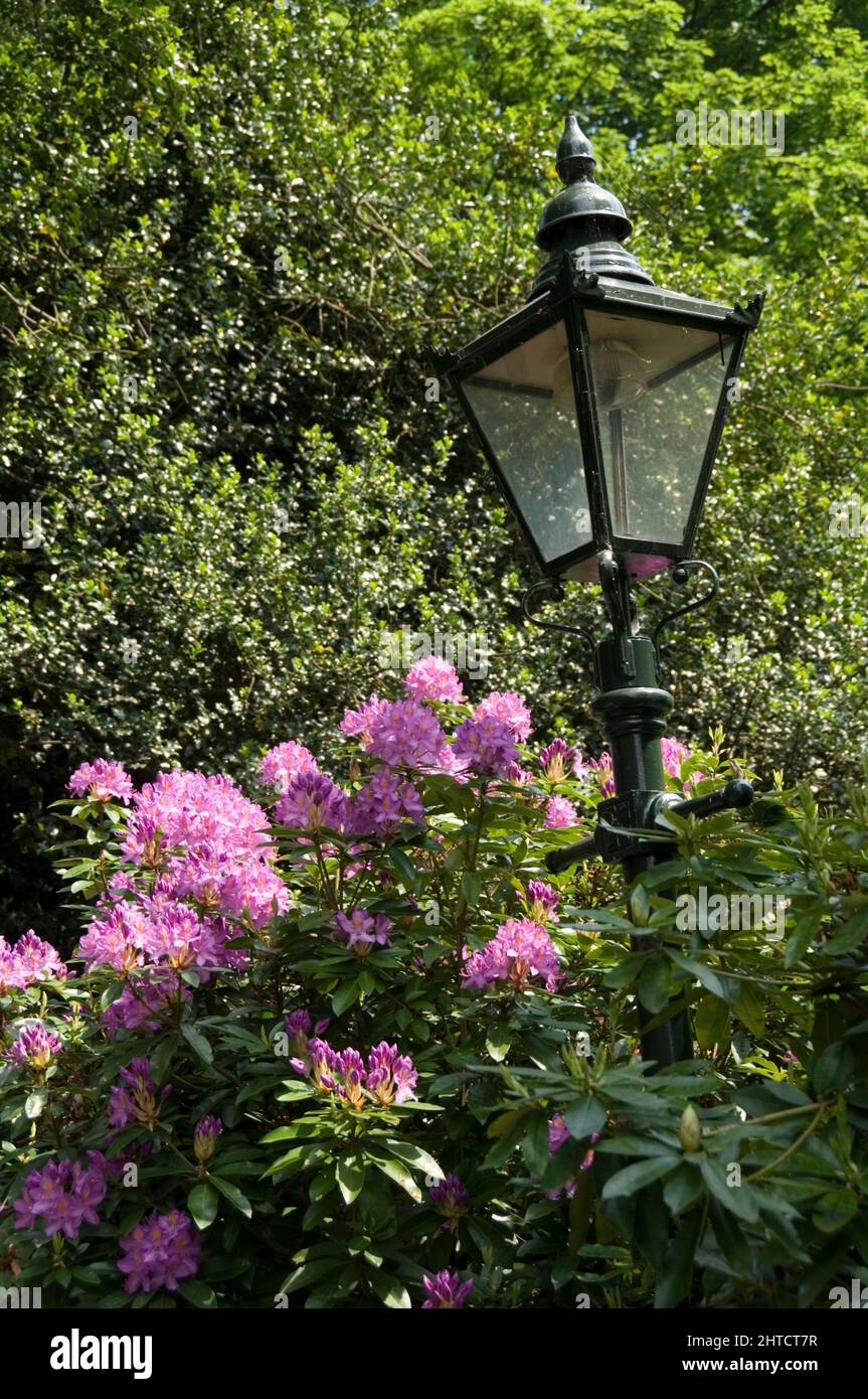 Kenwood House, Hampstead Lane, Highgate, Camden, London, 2008. General view of rhododendrons beside a lamppost in Kenwood House's garden. Stock Photo