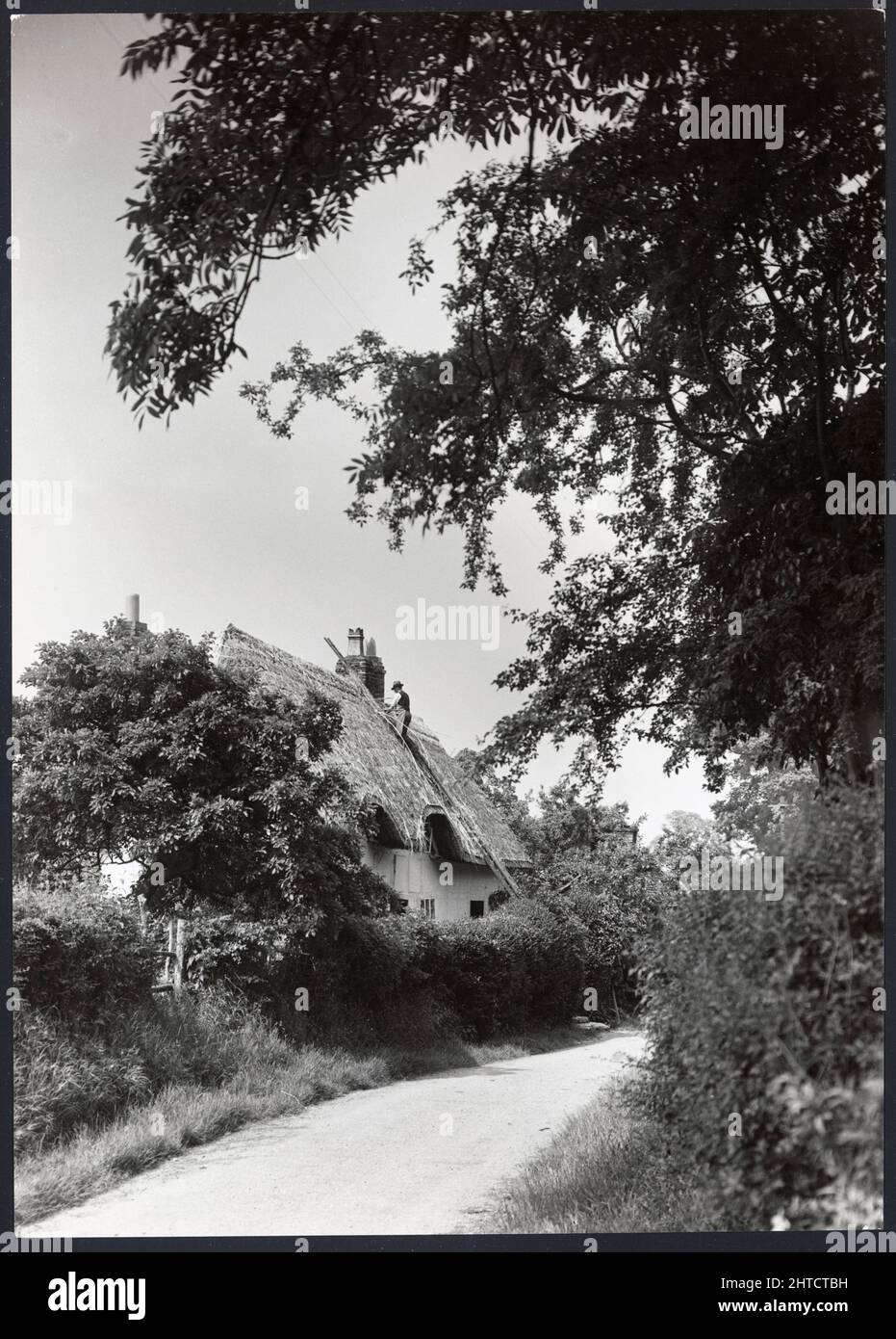 Bay Tree Cottage, Church Lane, Great Comberton, Wychavon, Worcestershire, 1925-1939. A thatcher at work on Bay Tree Cottage, Great Comberton. Stock Photo