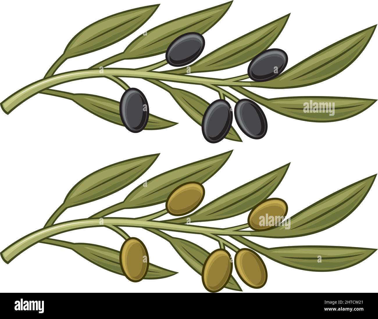 Olive branch (leaf) vector illustration Stock Vector Image & Art - Alamy