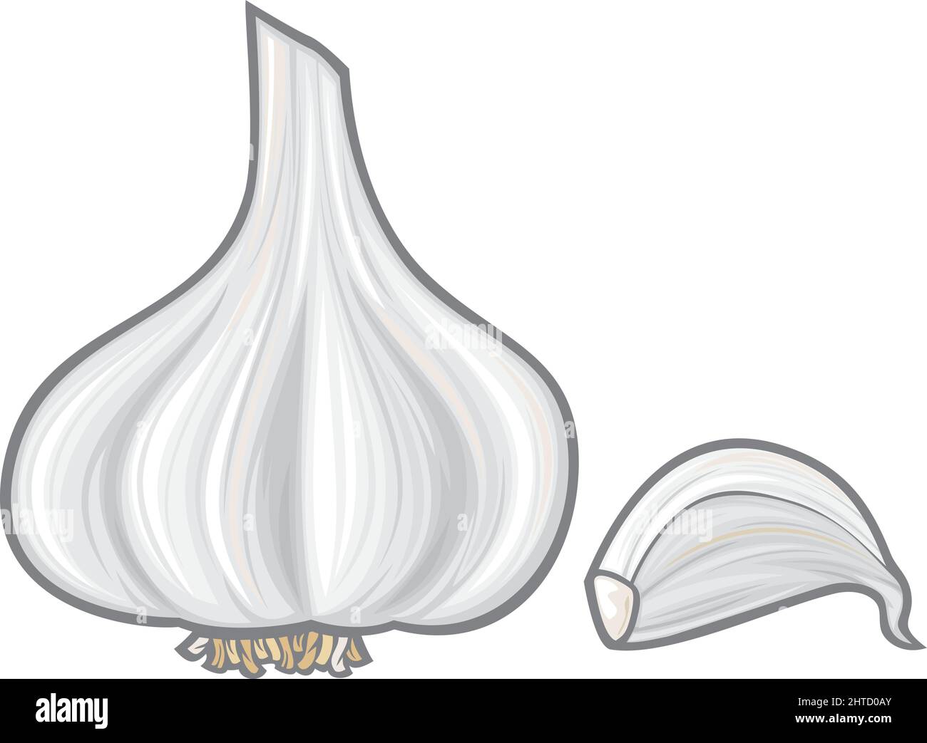 Garlic peel white Stock Vector Images - Alamy