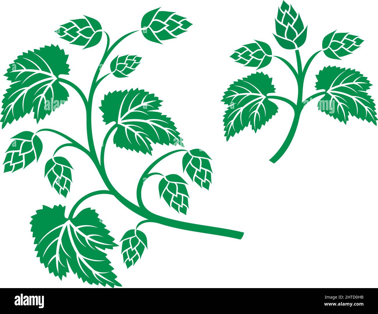 Hops leaf design (beer symbol) vector illustration Stock Vector Image