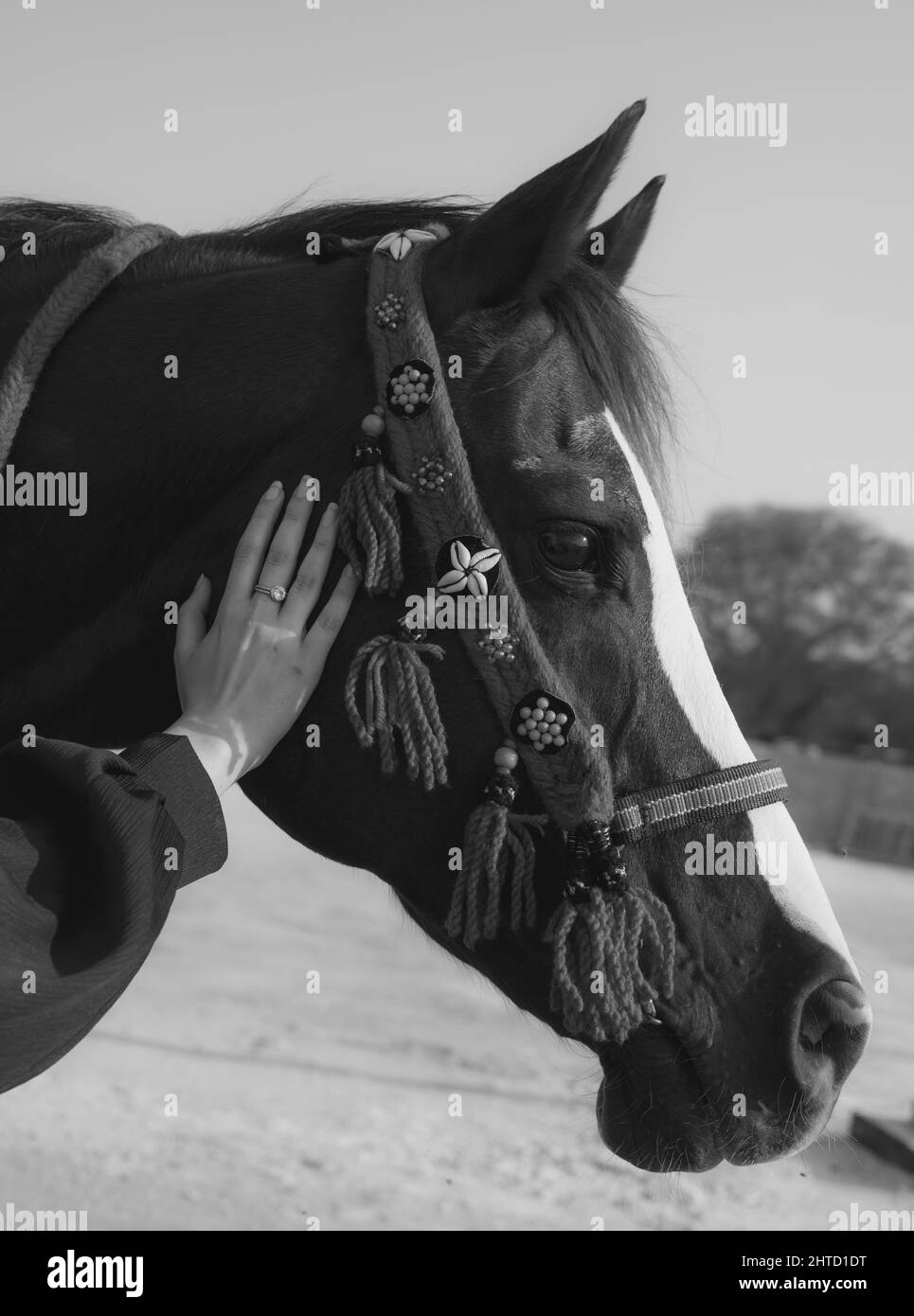 Arabian design Black and White Stock Photos & Images - Alamy
