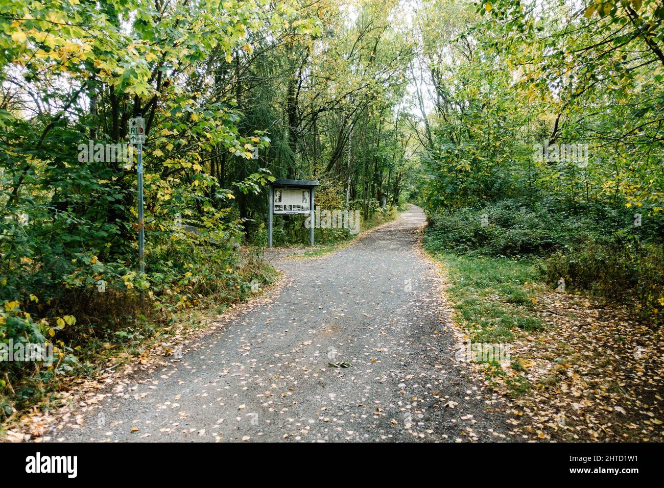 Beautiful view of a park with a path and trees Stock Photo - Alamy