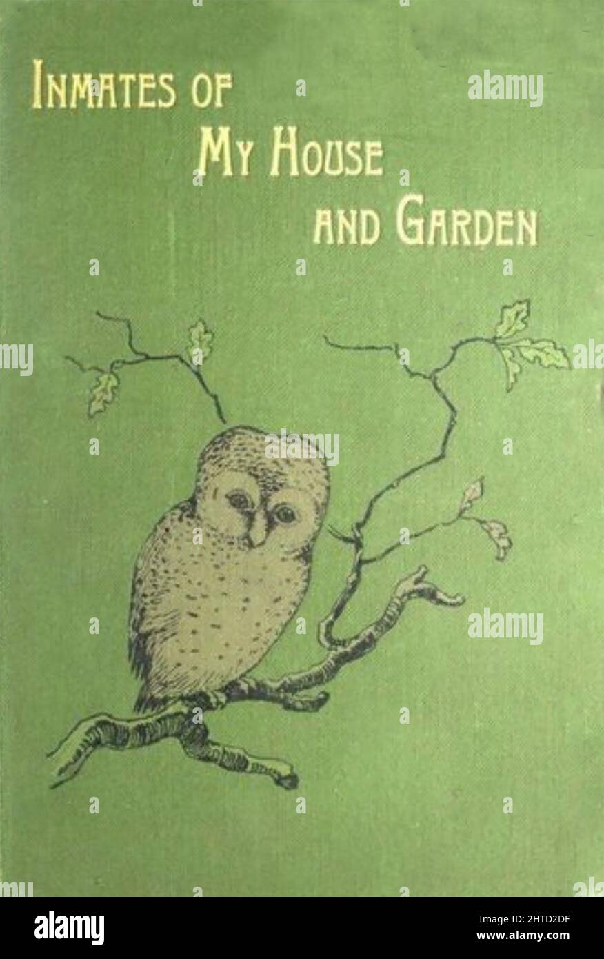 ELIZA BRIGHTWEN (1830-1906) Scottish naturalist and writer. Her 1895 book 'Inmates of my House and Garden' Stock Photo