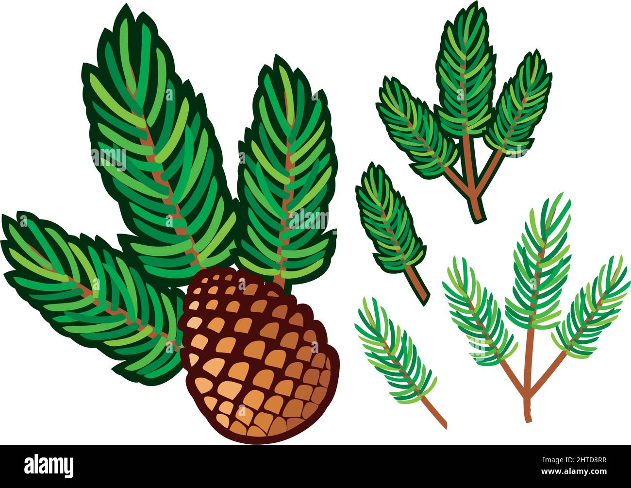 Branch of pine and pine cone vector illustration Stock Vector Image ...