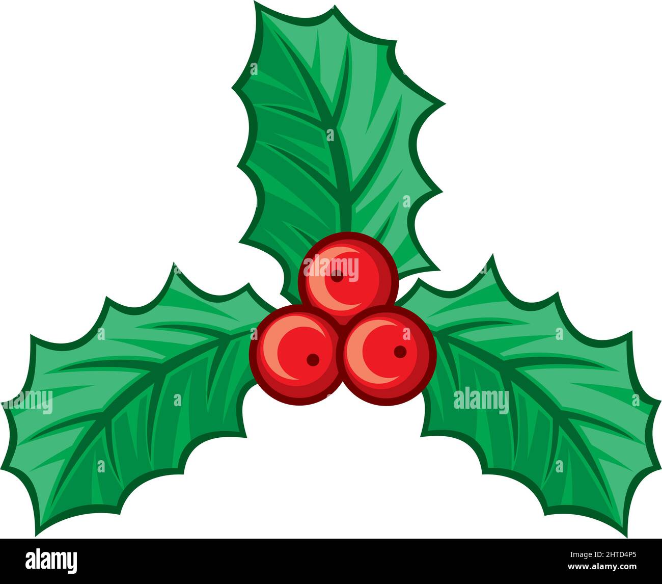 Christmas holly berry symbol vector illustration Stock Vector Image ...