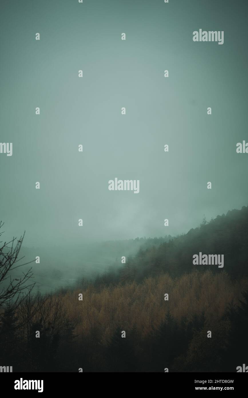 Mesmerizing view of a beautiful mountainous landscape on a foggy day ...