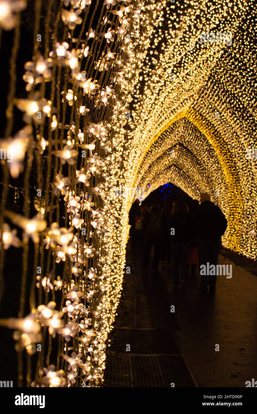 Closeup of Christmas light decorations at Kew Gardens London, UK Stock Photo