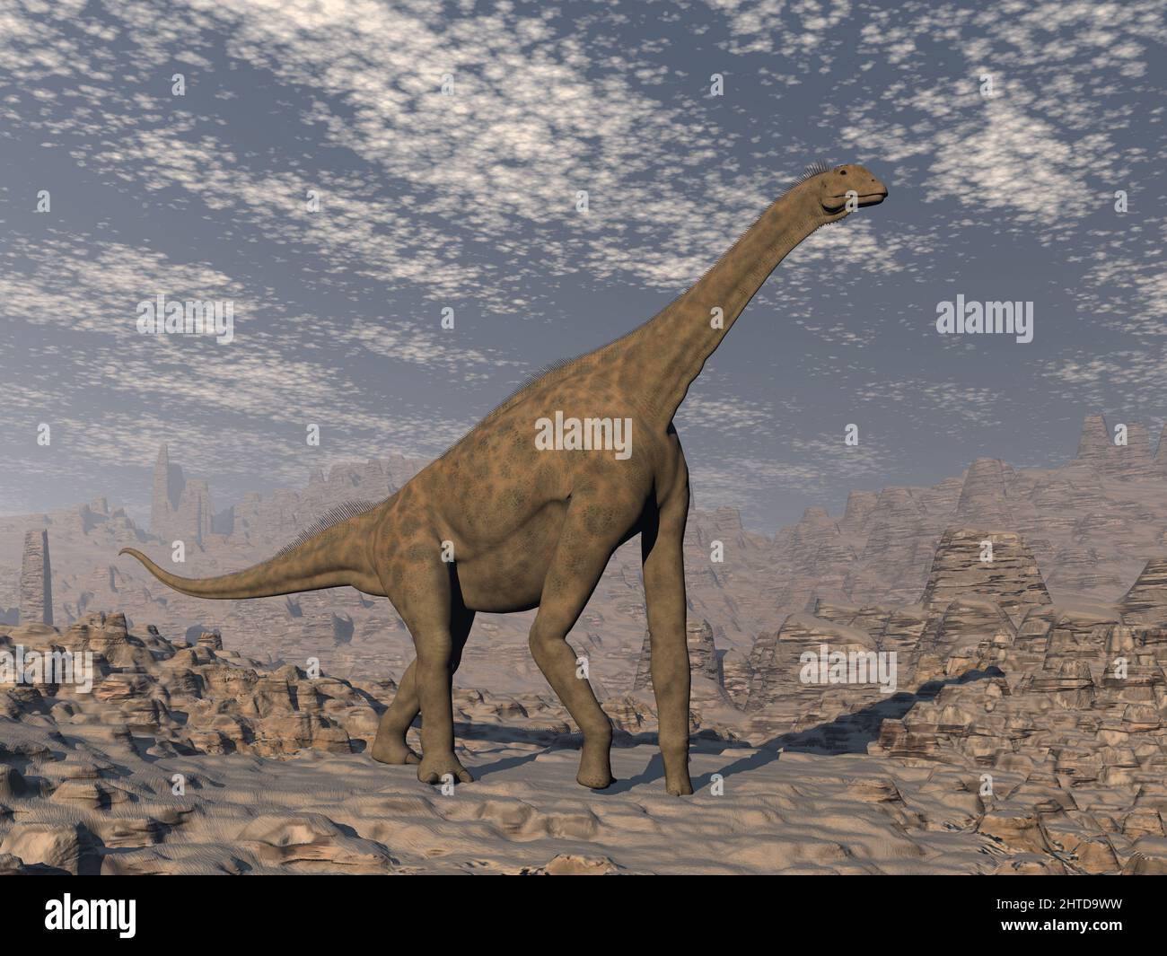 Atlasaurus dinosaur in the desert - 3D render Stock Photo - Alamy