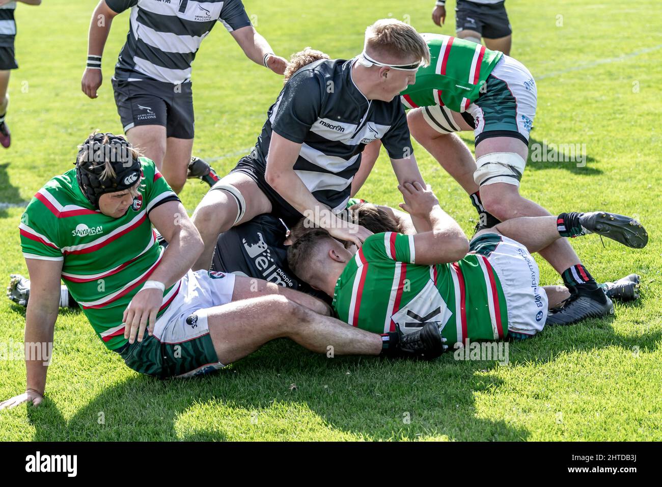 Newcastle Falcons vs Leicestershire Tigers under 18's at Oval Park Training Ground Leicester. Stock Photo