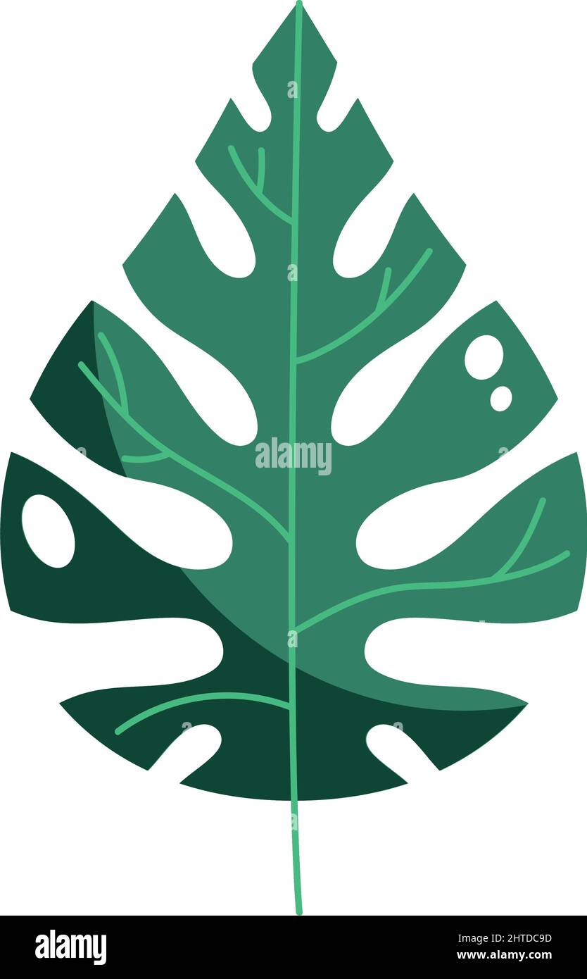 exotic leaf plant nature icon Stock Vector Image & Art - Alamy