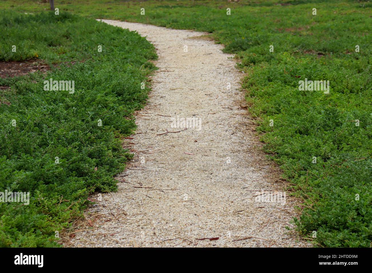 Empty narrow footpath surrounded hi-res stock photography and images ...