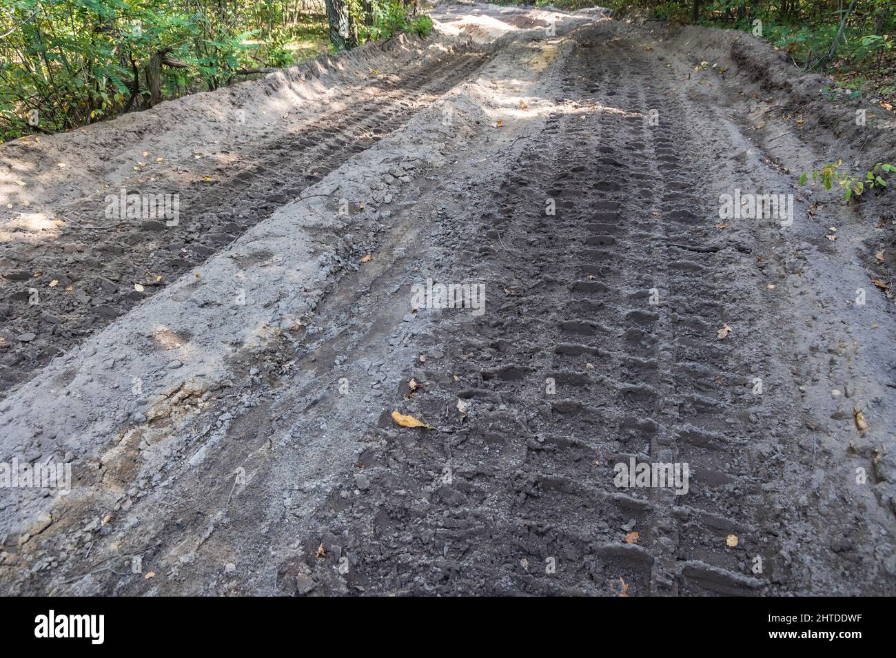 Caterpillar track on a tank road in forest near military ground in Sulejowek tow near Warsaw city in Masovia region of Poland Stock Photo