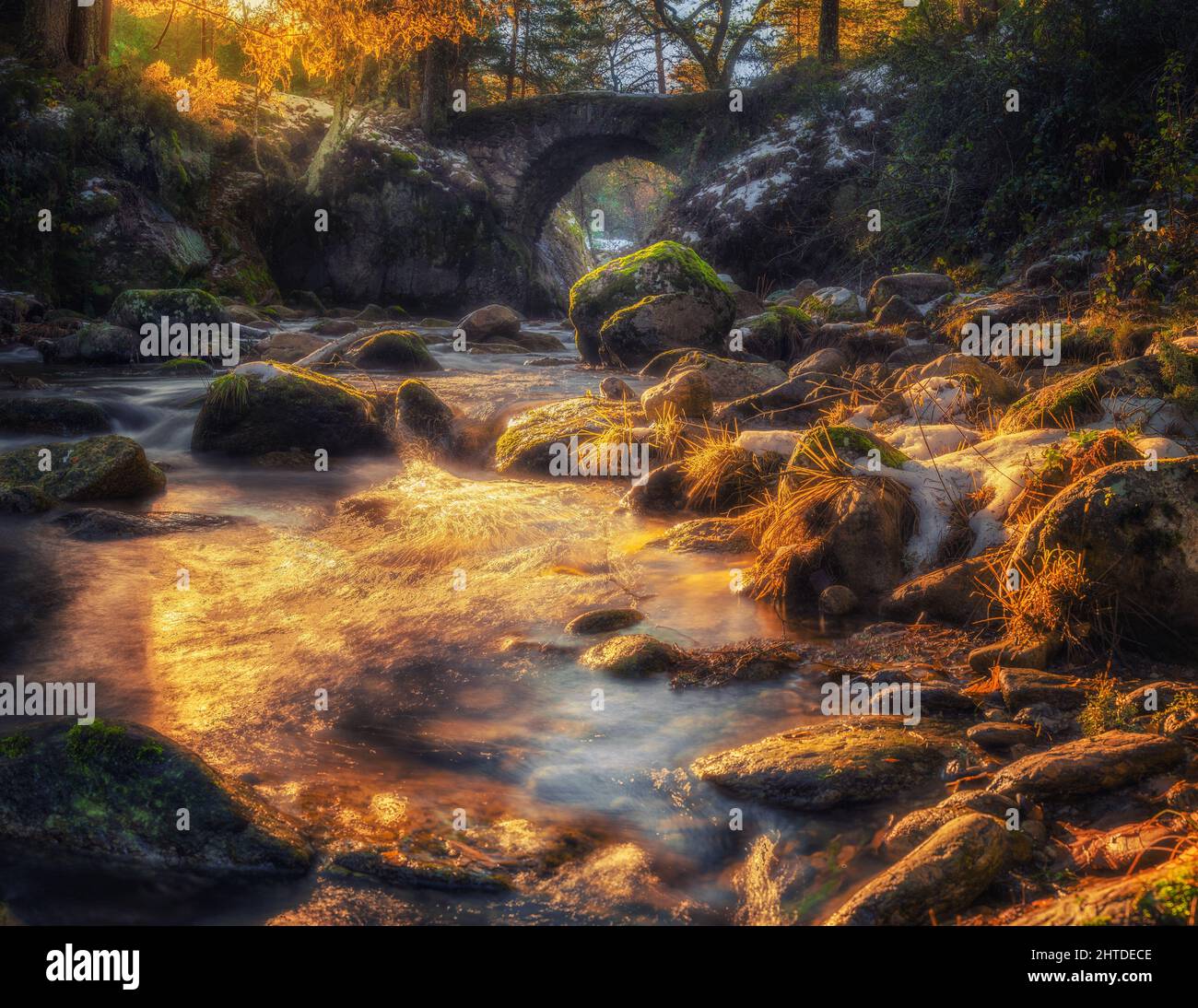 Beautiful scenery of flowing river over rocks in the forest under ...