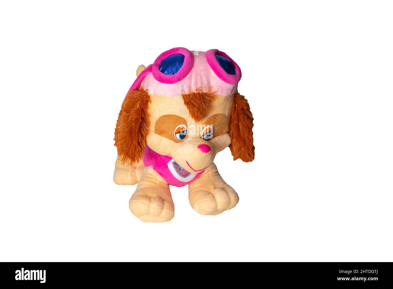 BOBRUISK, BELARUS 20.11.21: Paw patrol soft toy on a white background, isolate. The main character of the wiki with glasses on his head, close-up Stock Photo