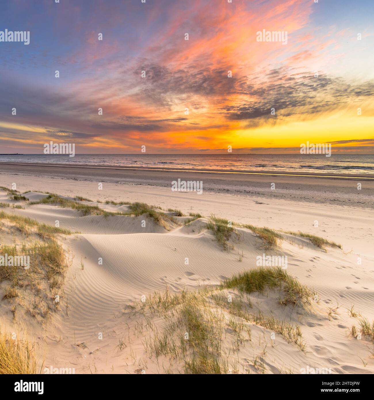 Beach and dunes Dutch coastline landscape seen from Wijk aan Zee over the North Sea at sunset, Netherlands Stock Photo