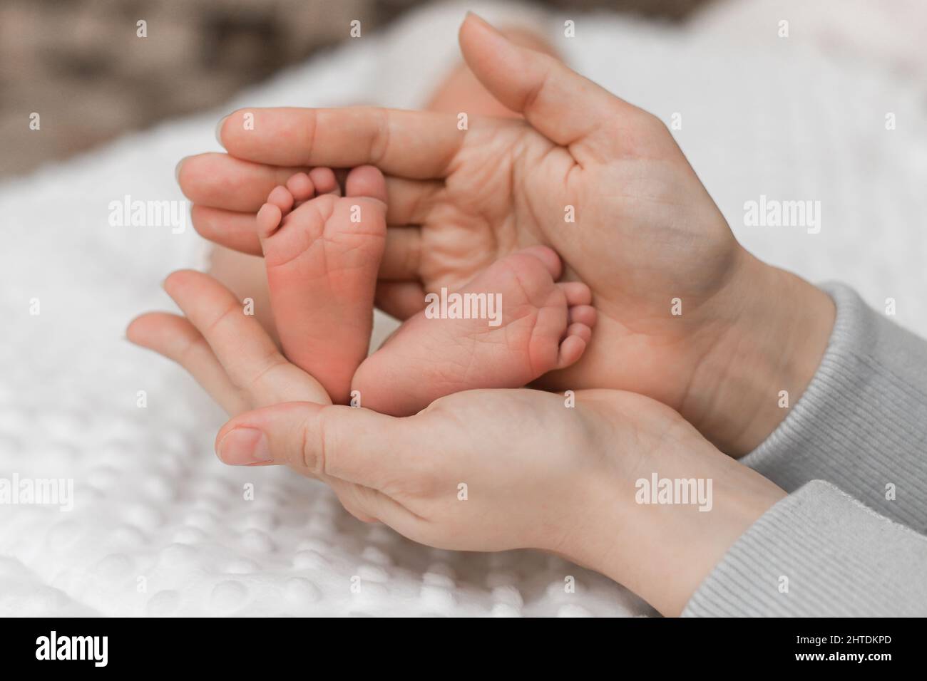 The baby's legs are in the hands of the parents. The concept of a happy family. Stock Photo