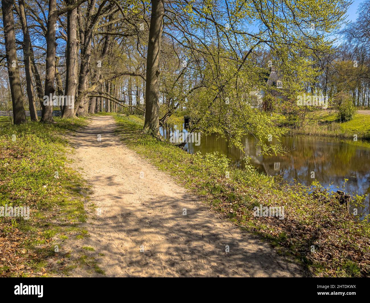 Walking track in park with fresh spring season colors on sunny day. Stock Photo