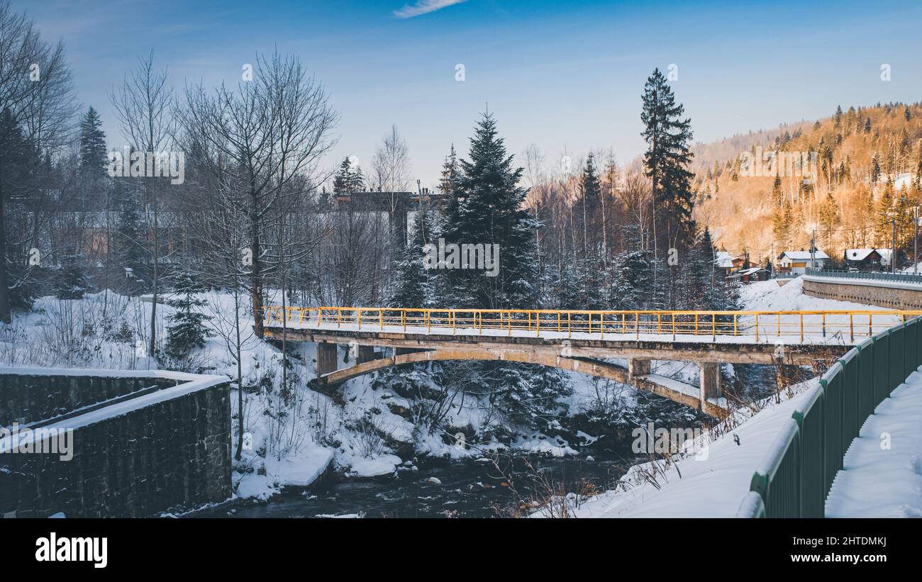 Daytime photo of a snowy forest Stock Photo - Alamy