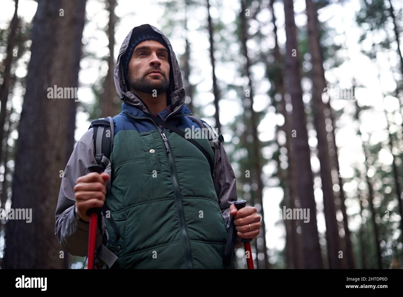 Surveying the wilderness. Shot of a handsome man hiking in a pine forest using nordic walking poles. Stock Photo