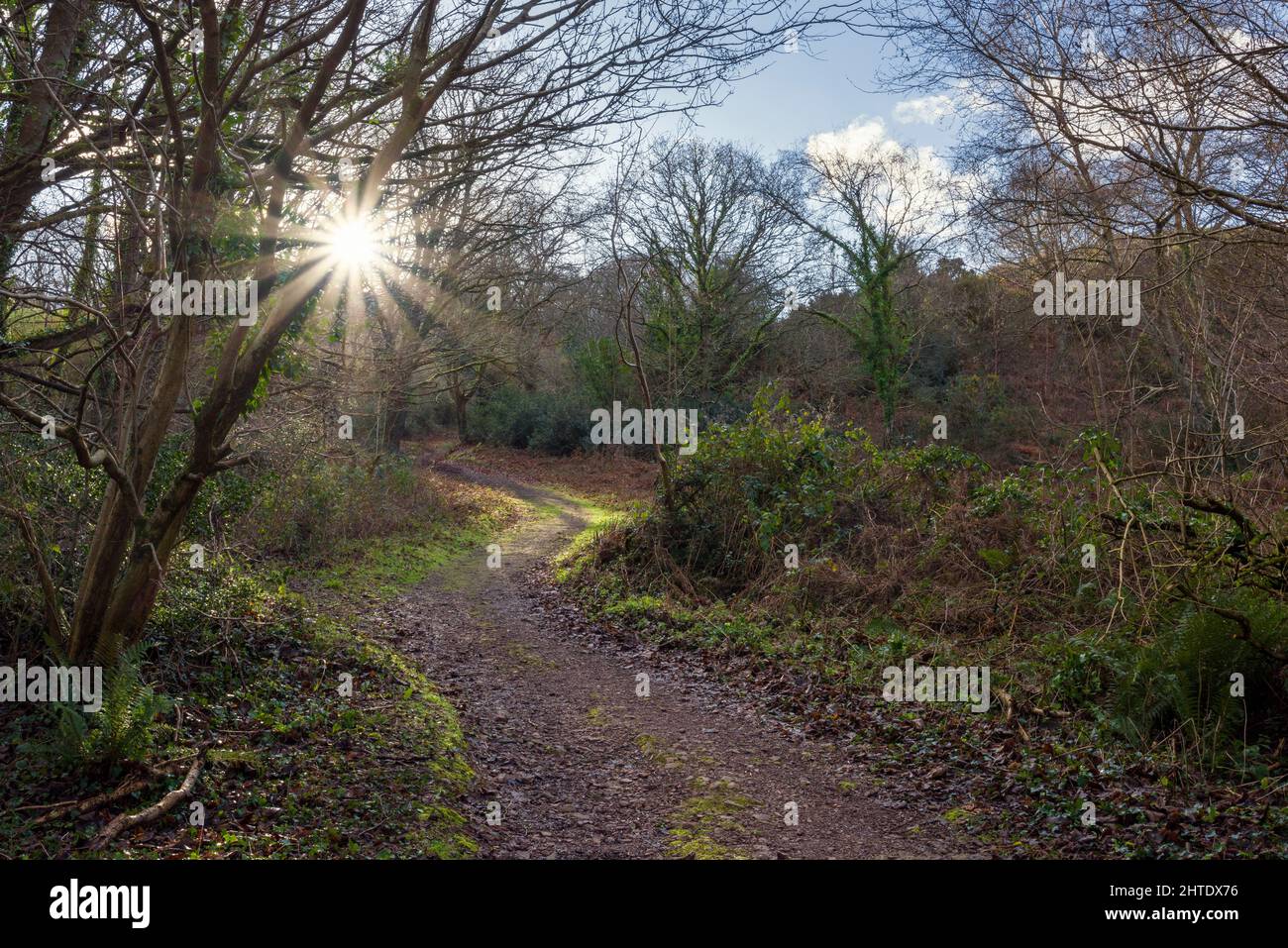 Right pathway hires stock photography and images Alamy