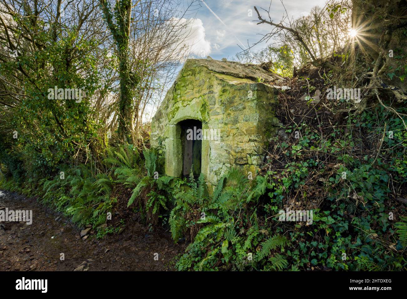 St Leonards Well scheduled monument near Dunster in the Exmoor National Park, Somerset, England. Stock Photo