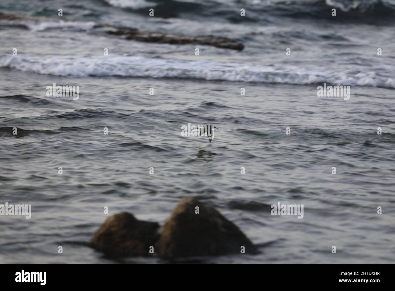 Sea landscape. Surfline with waves and foam at sunset time. Nature background Stock Photo