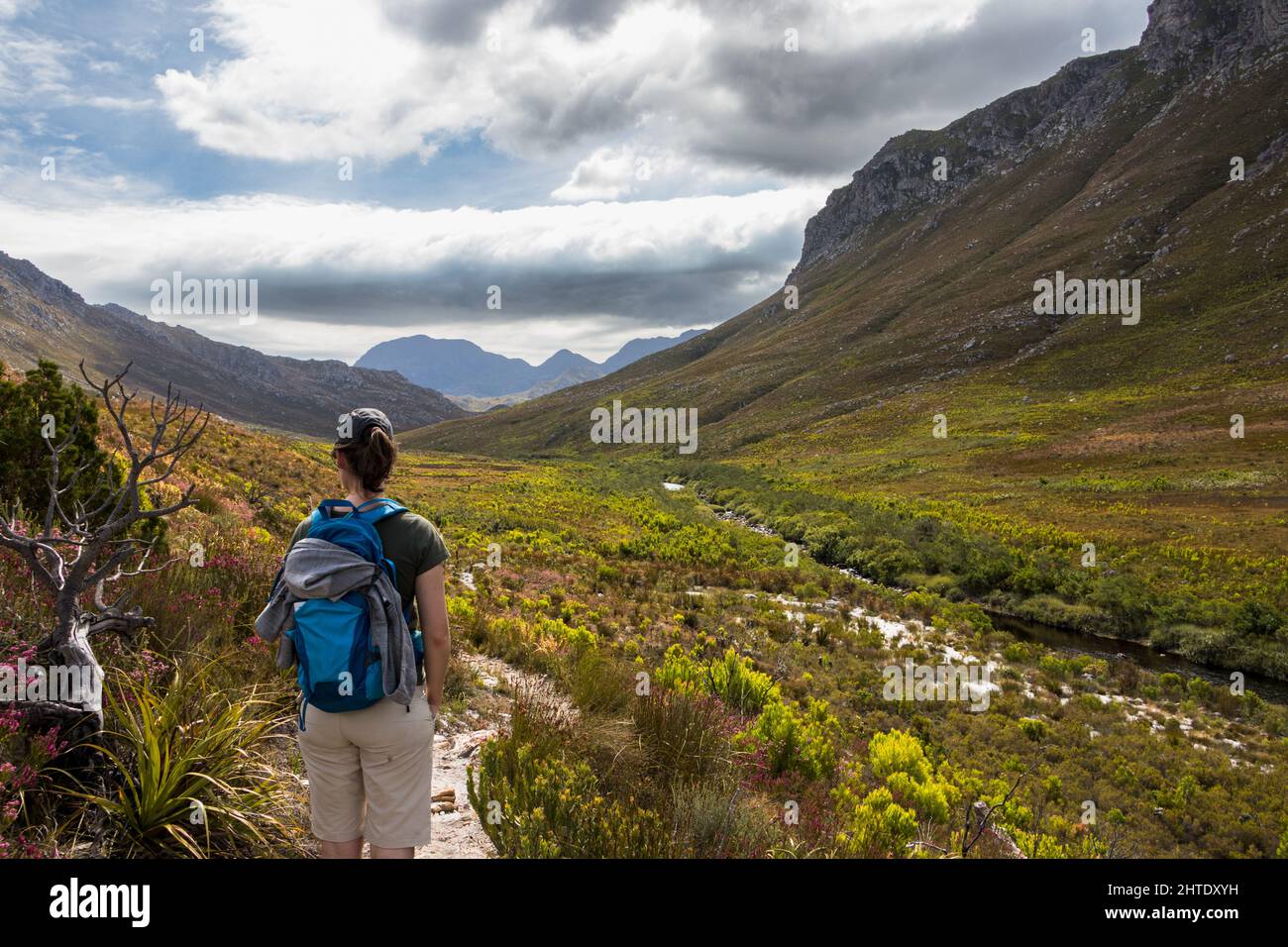 Hiking in the beautifull land of Kogelberg Nature reserve Stock Photo