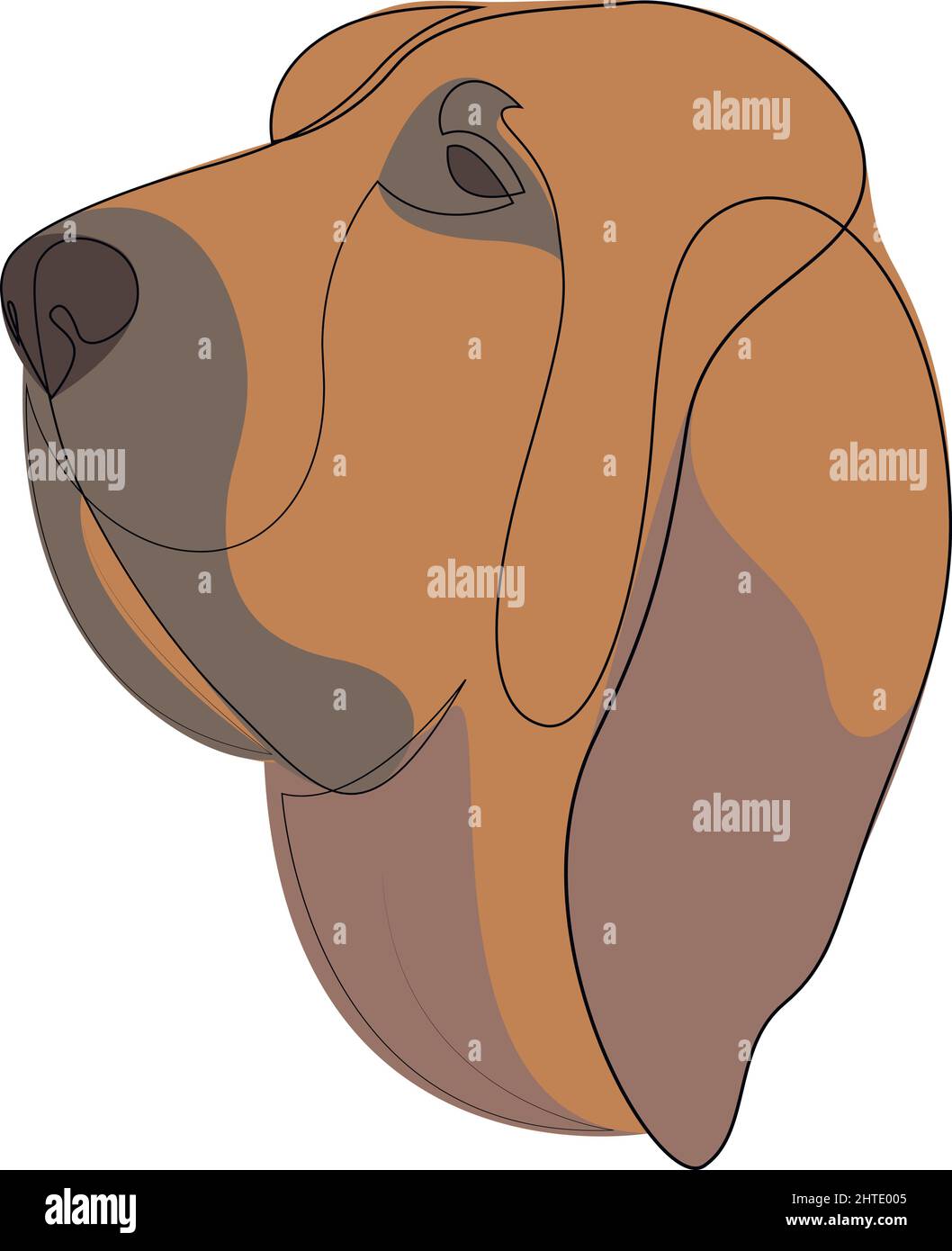 Continuous line Bloodhound. Single line minimal style dog vector ...