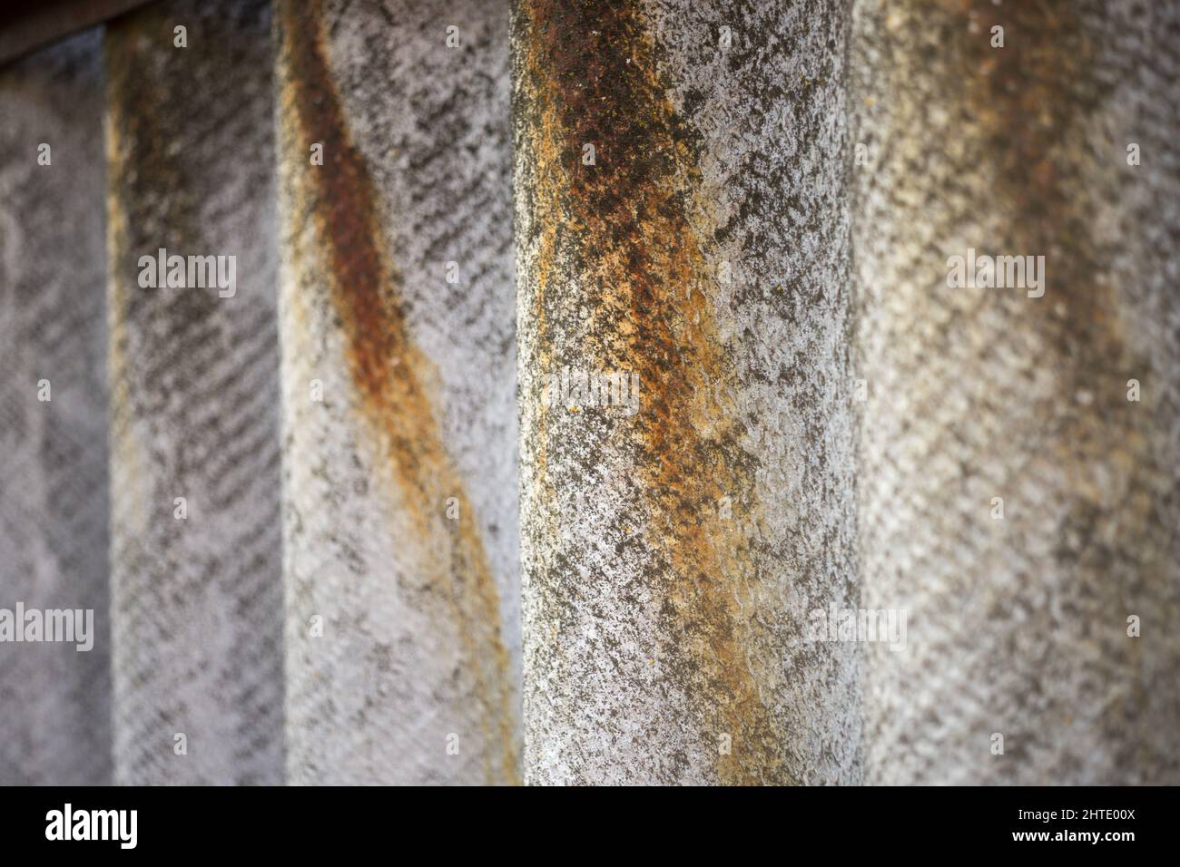 Close up old slate sheet fence with dry rusty flows. Stock Photo