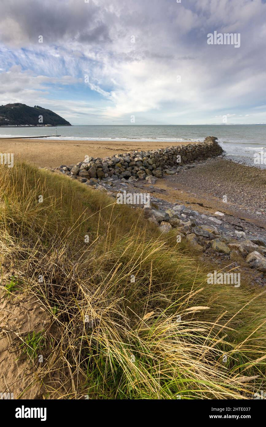 The beach and breakwater at Warren Point in Minehead on the Bristol Channel with North Hill beyond, Somerset, England. Stock Photo
