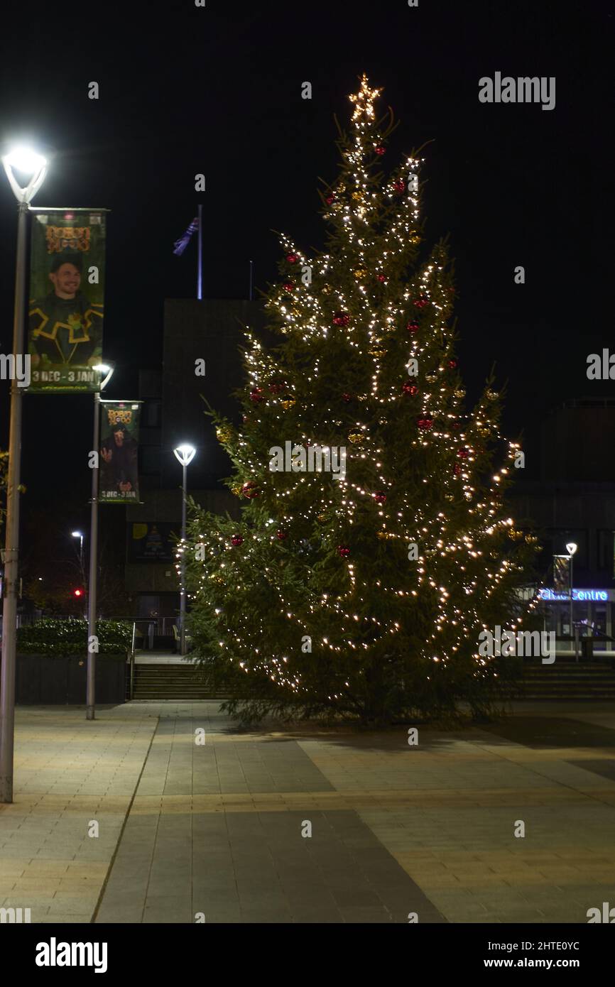 Vertical shot of Gravesend Christmas tree in town center Stock Photo