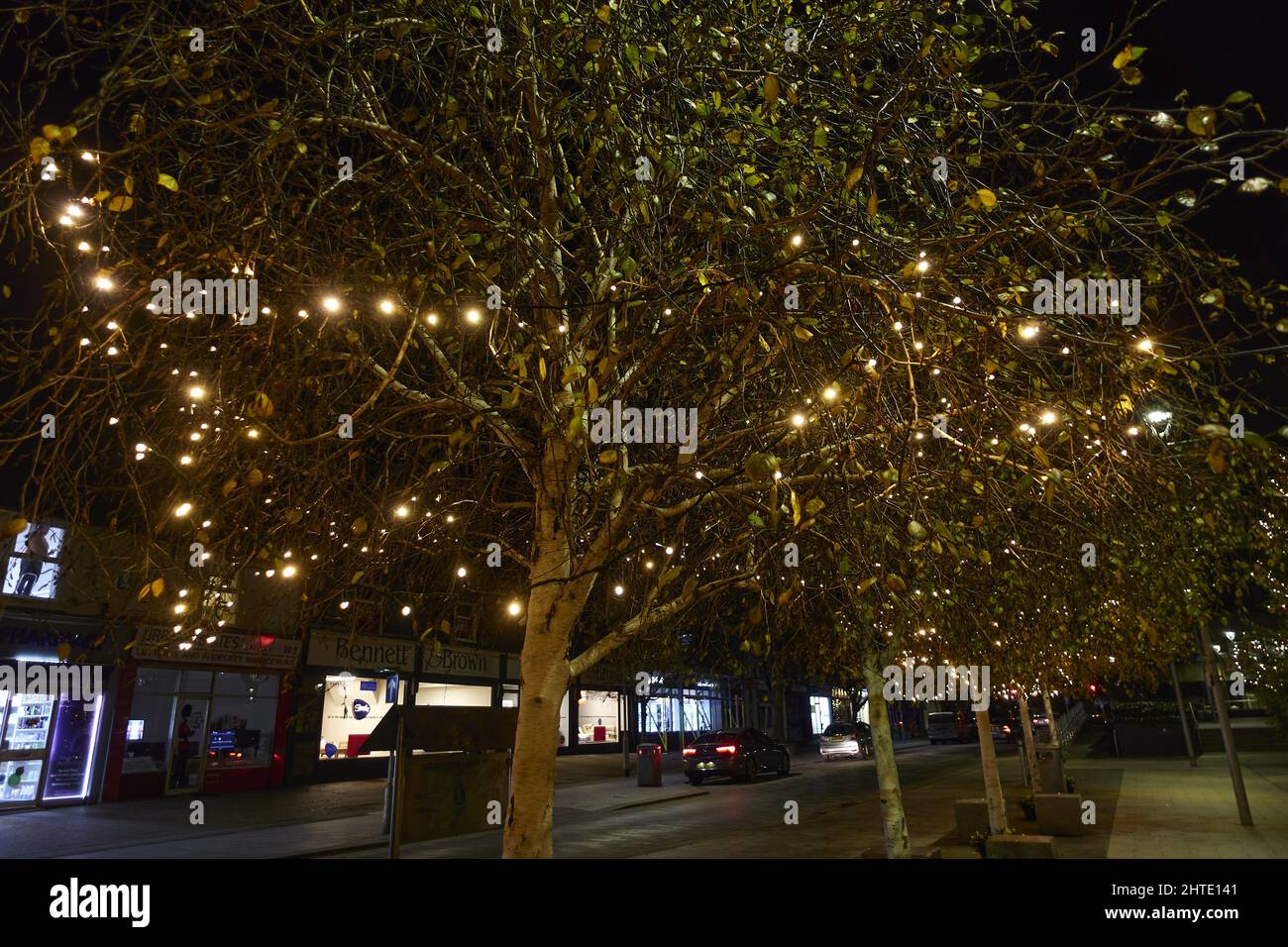 Photo of Gravesend Christmas lights on trees at night in the town