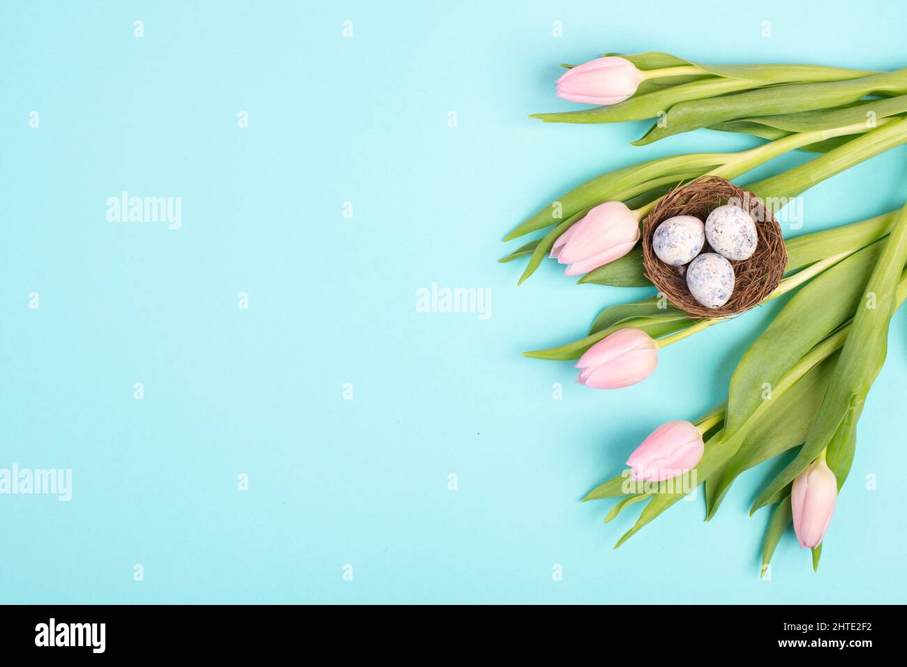 Nest with small eggs and pink tulips on pastel colored background ...