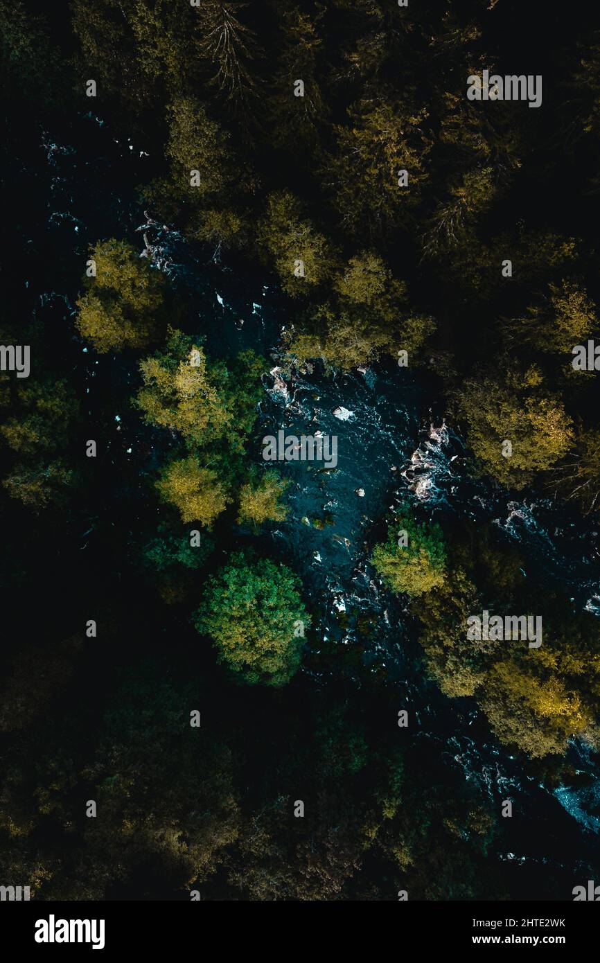 Aerial view of a river flowing through fir trees Stock Photo - Alamy