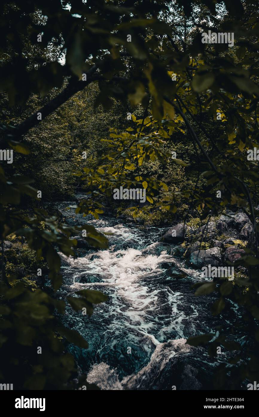 River Surrounded By Rocks Vertical of a river flowing through rocks surrounded by greenery Stock ...