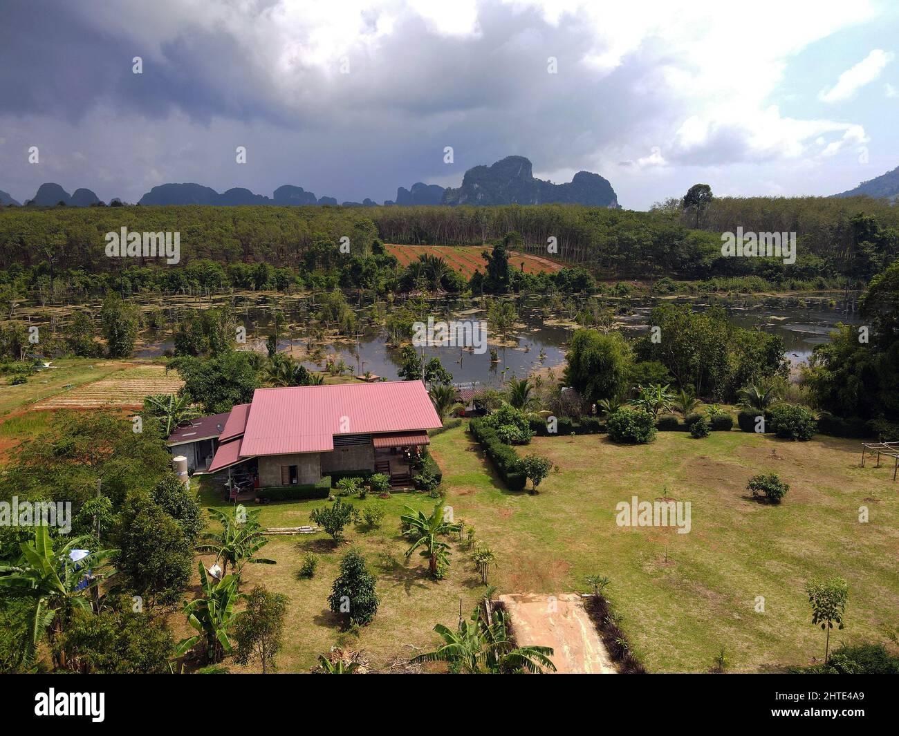 Aerial view lake trees under cloudy sky hires stock photography and