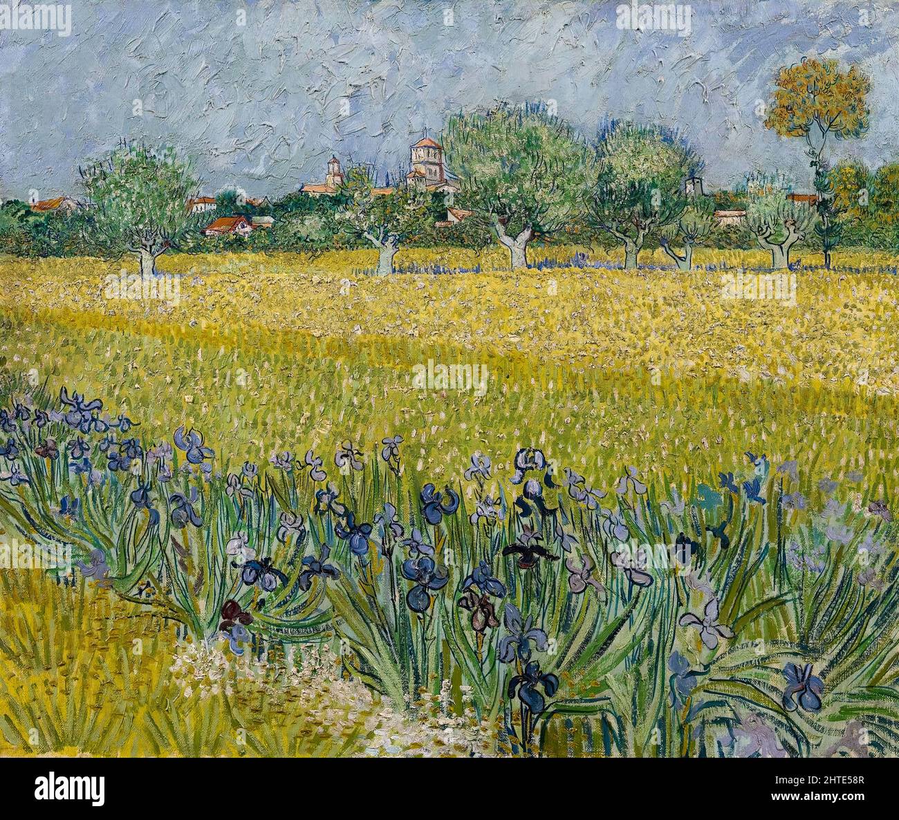 Vincent van Gogh, Field with Irises near Arles, landscape painting, oil on canvas, 1888 Stock