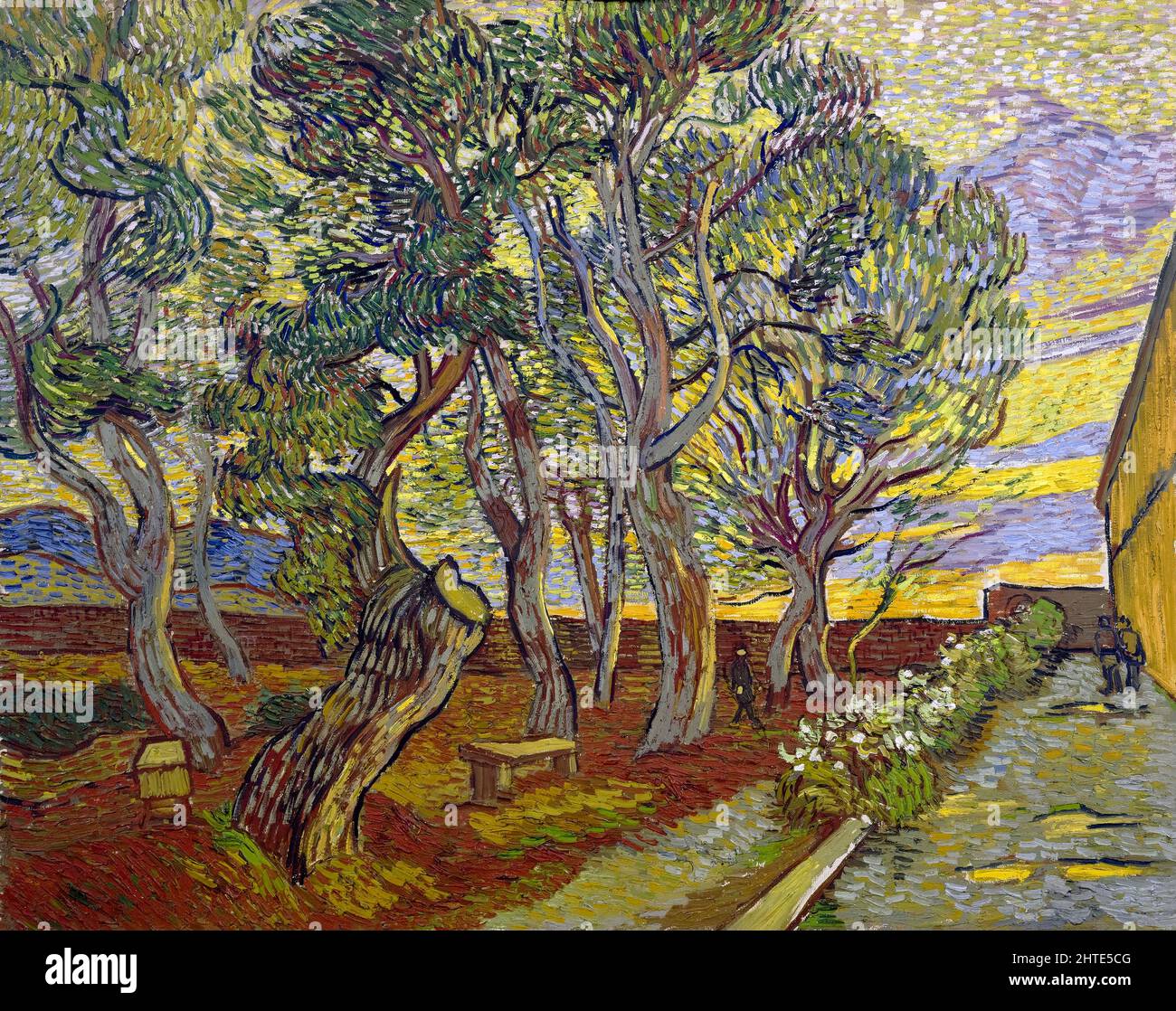 Vincent van Gogh, The Garden of Saint Paul's Hospital, painting, oil on canvas, 1889 Stock Photo